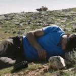 No Other Land’ Doc Sets Streaming Self-Release After Turning Down Mubi Deal – Film News in Brief