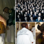 Orwell: 2+2=5’ and ‘The Perfect Neighbor’ Lead Critics Choice Documentary Awards Nominations